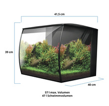 Aquarium met beplanting en maatvoering