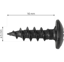 Een snelbouwschroef van 16 millimeter lang en 5 millimeter dik.