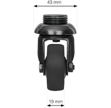Meubelwiel met schroefdraad en afmetingen 43 mm en 19 mm