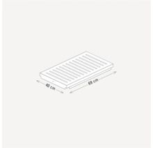 Illustratie van een douchegoot met afmetingen van 40 cm x 69 cm.