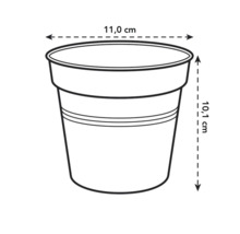 Afbeelding van een plantenbak met de afmetingen 11,0 cm diameter en 10,1 cm hoogte.