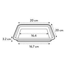 Afbeelding met de afmetingen van een plantenschaal: 20 cm x 20 cm