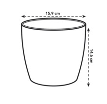 Afbeelding van een plantenbak met de afmetingen 15,9 cm breed en 14,6 cm hoog