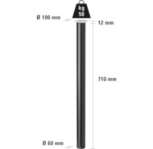 Producttekening van een tafelpot met afmetingen van 710 millimeter lengte, 100 millimeter diameter bovenaan en 60 millimeter diameter onderaan, en een draagvermogen tot 50 kilogram.