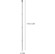 Metalen vlaggenmast met Fleur-de-Lis top, 178,5 cm hoog en 5 cm diameter