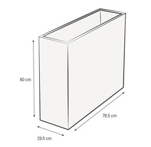Illustratie van een plantenbak met de afmetingen 60 cm hoogte, 78,5 cm breedte en 29,5 cm diepte.