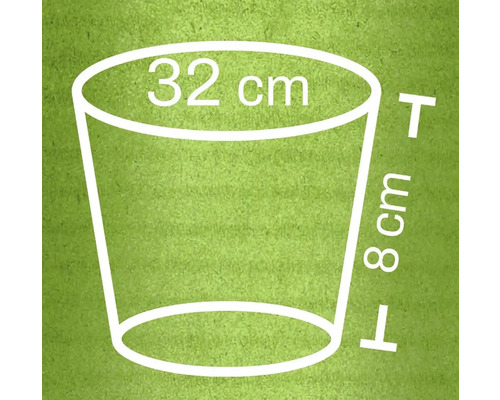 Illustratie van een plantenbak met afmetingen: 32 cm diameter bovenaan, 8 cm hoog