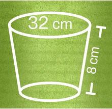 Afmetingen plantenpot: diameter bovenkant 32 cm, hoogte 8 cm