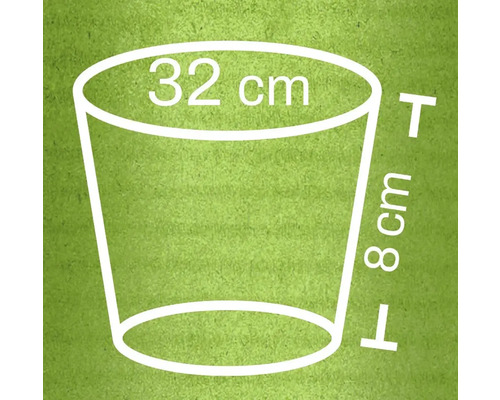 Afmetingen plantenpot: diameter bovenkant 32 cm, hoogte 8 cm