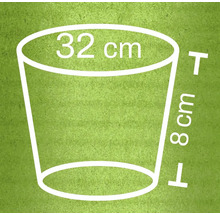 Afbeelding van een plantenbak met de afmetingen 32 centimeter diameter en 8 centimeter hoogte
