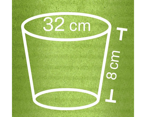 Afbeelding van een plantenbak met de afmetingen 32 centimeter diameter en 8 centimeter hoogte