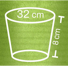 Illustratie van een plantenbak met afmetingen van 32 cm diameter en 8 cm hoogte