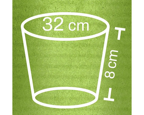 Illustratie van een plantenbak met afmetingen van 32 cm diameter en 8 cm hoogte