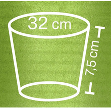 Illustratie van een plantenbak met afmetingen van 32 centimeter doorsnede en 7,5 centimeter hoogte