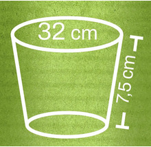 Plantpot afmetingen: 32 centimeter diameter, 7,5 centimeter hoogte