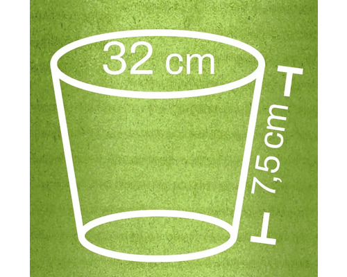 Plantpot afmetingen: 32 centimeter diameter, 7,5 centimeter hoogte