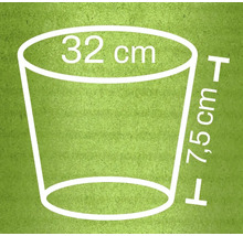 Afmetingsschets van een plantenbak: 32 cm diameter bovenaan en 7,5 cm hoog.