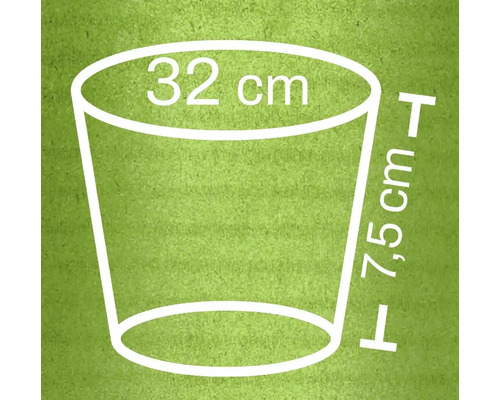 Afmetingsschets van een plantenbak: 32 cm diameter bovenaan en 7,5 cm hoog.