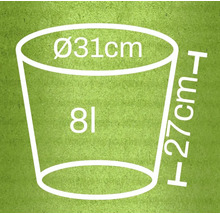 Illustratie van een plantenbak met afmetingen van 31 cm diameter en 27 cm hoogte, en een inhoud van 8 liter