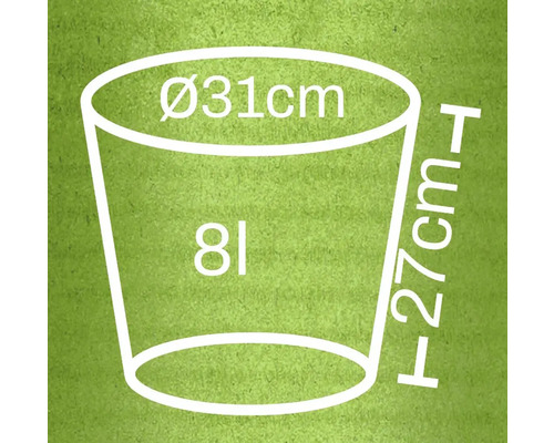 Illustratie van een plantenbak met afmetingen van 31 cm diameter en 27 cm hoogte, en een inhoud van 8 liter