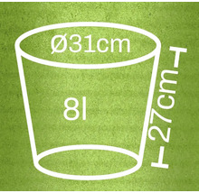 Afbeelding met afmetingen van een bloempot: 31 centimeter diameter, 27 centimeter hoogte, 8 liter volume