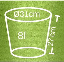 Afbeelding van een plantenbak met de afmetingen diameter 31 cm, hoogte 27 cm en een inhoud van 8 liter