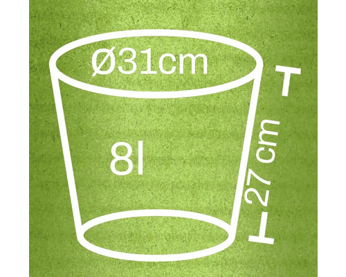 Afbeelding van een plantenbak met de afmetingen diameter 31 cm, hoogte 27 cm en een inhoud van 8 liter