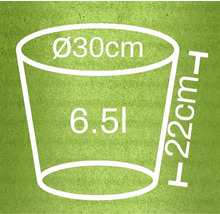 Diagram van een plantenbak met de afmetingen 30 centimeter diameter, 22 centimeter hoogte en 6,5 liter inhoud