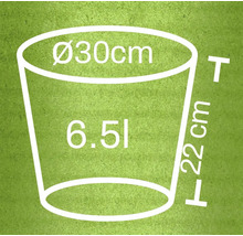 Schets van een bloempot met de afmetingen diameter 30 centimeter, hoogte 22 centimeter en volume 6,5 liter