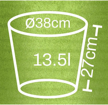 Afbeelding van de afmetingen van een plantenbak: 38 centimeter diameter, 27 centimeter hoogte en 13,5 liter inhoud