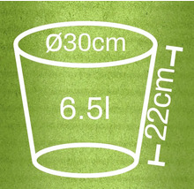 Illustratie van een plantenbak met de afmetingen diameter 30 cm, hoogte 22 cm en een inhoud van 6,5 liter