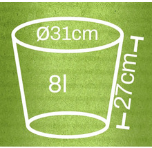 Afbeelding met maatvoering: diameter 31 centimeter, hoogte 27 centimeter, inhoud 8 liter