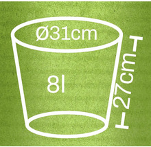 Schets van een plantenbak met de afmetingen diameter 31 centimeter, hoogte 27 centimeter en 8 liter inhoud
