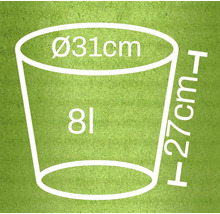 Illustratie van een plantenbak met de afmetingen 31 centimeter diameter, 27 centimeter hoogte en 8 liter volume.