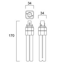 Maatschets van een compacte fluorescentielamp met een totale hoogte van 170 millimeter en een breedte van 34 millimeter.