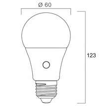 Technische tekening van een ledlamp met een diameter van 60 millimeter en een hoogte van 123 millimeter.