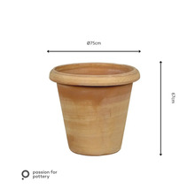 Terracotta bloempot met een diameter van 75 centimeter en een hoogte van 67 centimeter.