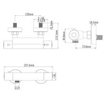 Technische tekening van een douchekraan met afmetingen in millimeter, breedte 227,6 millimeter, hartafstand 120 millimeter.