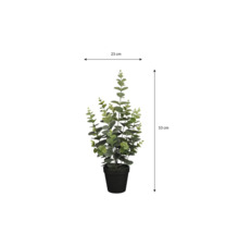 Kunstmatige eucalyptusplant in zwarte pot, hoogte 53 centimeter, breedte 23 centimeter