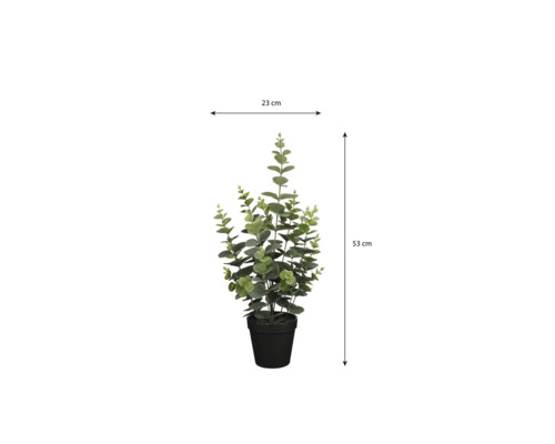 Kunstmatige eucalyptusplant in zwarte pot, hoogte 53 centimeter, breedte 23 centimeter