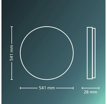 Maatschets van een rond product met een diameter van 541 millimeter en een diepte van 28 millimeter.