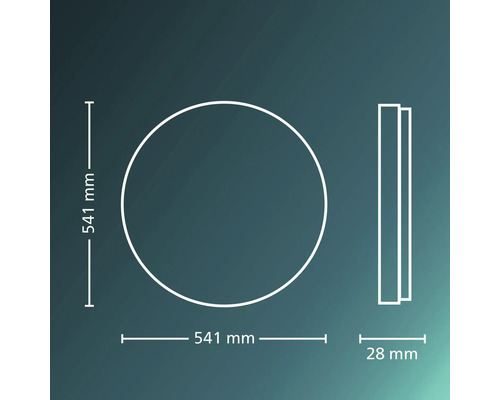 Maatschets van een rond product met een diameter van 541 millimeter en een diepte van 28 millimeter.