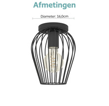 Zwarte metalen kooi-plafondlamp met zichtbare lichtbron en een diameter van 16,0 centimeter.