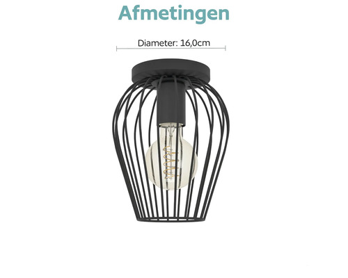 Zwarte metalen kooi-plafondlamp met zichtbare lichtbron en een diameter van 16,0 centimeter.