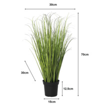 Kunstgras in zwarte pot met afmetingen: totale hoogte 70 centimeter, breedte 30 centimeter, diepte 30 centimeter, pothoogte 12,5 centimeter.