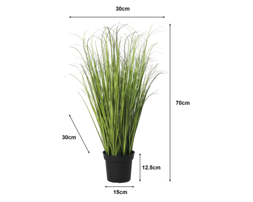 Kunstgras in zwarte pot met afmetingen: totale hoogte 70 centimeter, breedte 30 centimeter, diepte 30 centimeter, pothoogte 12,5 centimeter.