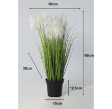 Kunstgras in zwarte pot met afmetingen: totale hoogte 69 centimeter, breedte 30 centimeter, diameter pot 15 centimeter.