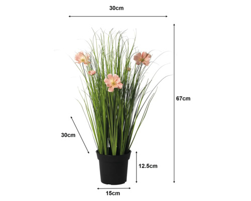 Kunstmatige cosmea in gras, zwarte pot. Hoogte 67 centimeter, breedte 30 centimeter, diepte 30 centimeter, pothoogte 12,5 centimeter.