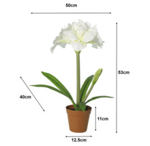 Witte Amaryllis kunstplant in pot met afmetingen: hoogte 53 centimeter, breedte 50 centimeter, pot 11 centimeter hoog en 12,5 centimeter breed.