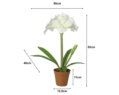 Witte Amaryllis kunstplant in pot met afmetingen: hoogte 53 centimeter, breedte 50 centimeter, pot 11 centimeter hoog en 12,5 centimeter breed.